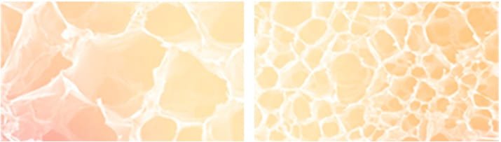 MODELUL REGULAR, STRUCTURA DENĂ